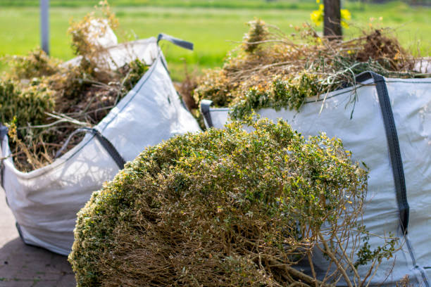 Best Electronics Removal Services  in Fairfax, SC
